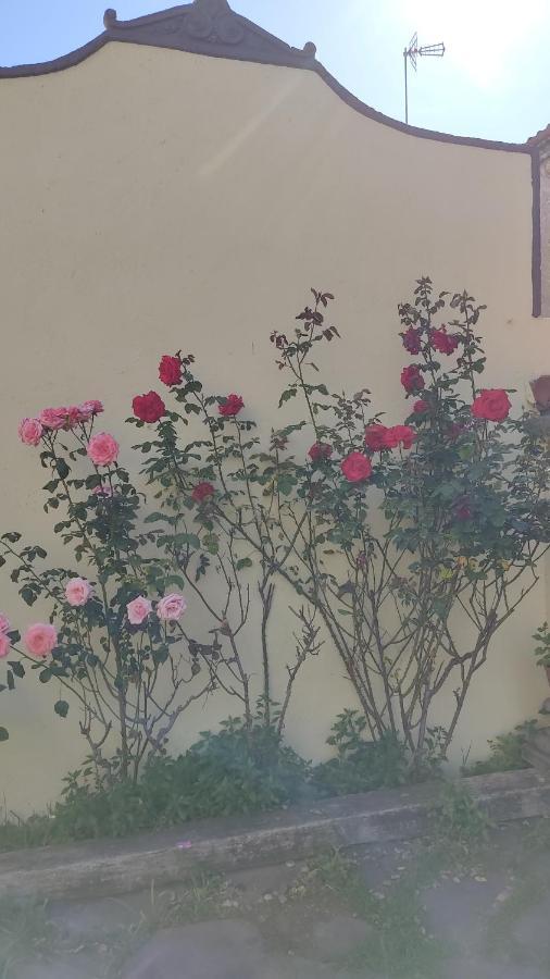 דירות סאבאדל Casa Mo מראה חיצוני תמונה